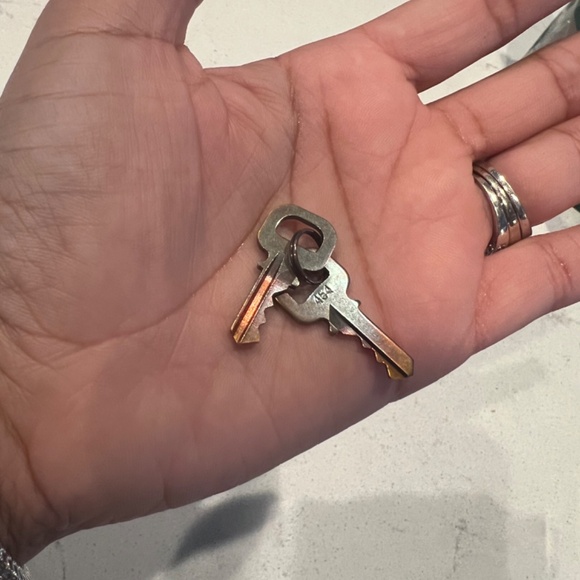 Louis Vuitton Dog Carrier - Picture 7 of 14